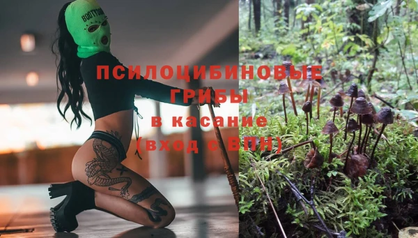 mdpv Алексин