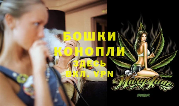 соль ск Нея