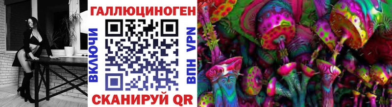 дарнет шоп  Чебаркуль  Галлюциногенные грибы прущие грибы 