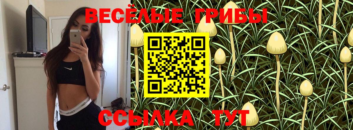 Псилоцибиновые грибы GOLDEN TEACHER Чебаркуль