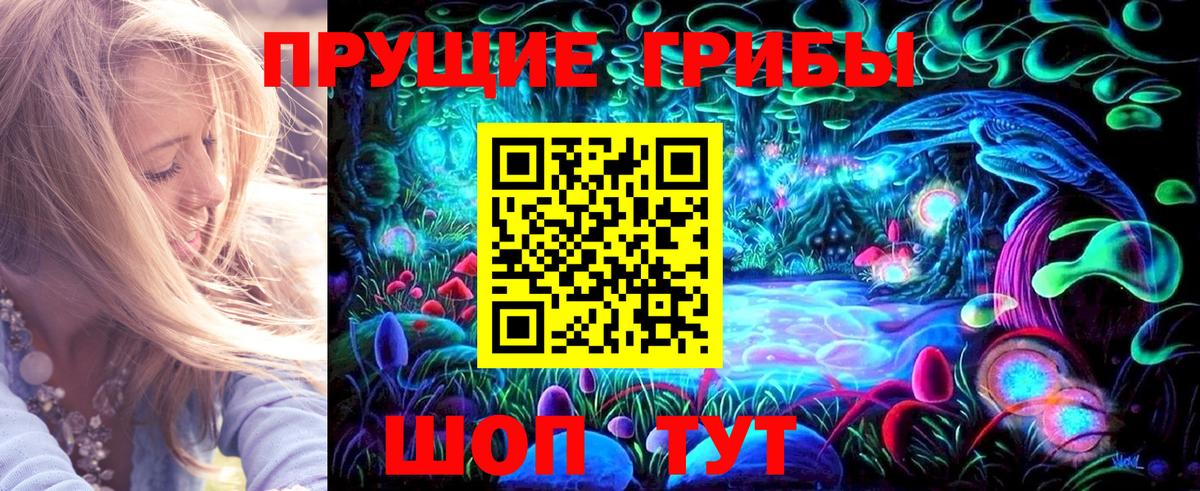 Чебаркуль  Галлюциногенные грибы Psilocybine cubensis  Вход с VPN  купить   Псилоцибиновые грибы Psilocybine cubensis 